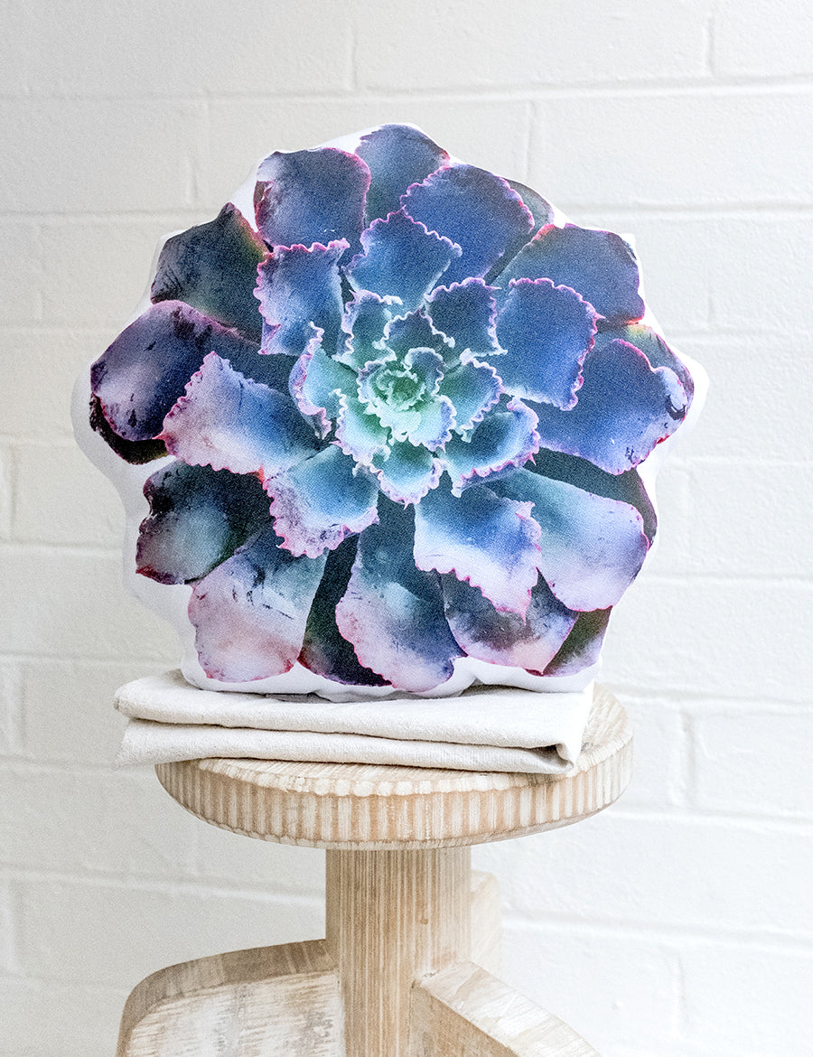 Lettuce Succulent Pillow - Neon Breakers Echeveria