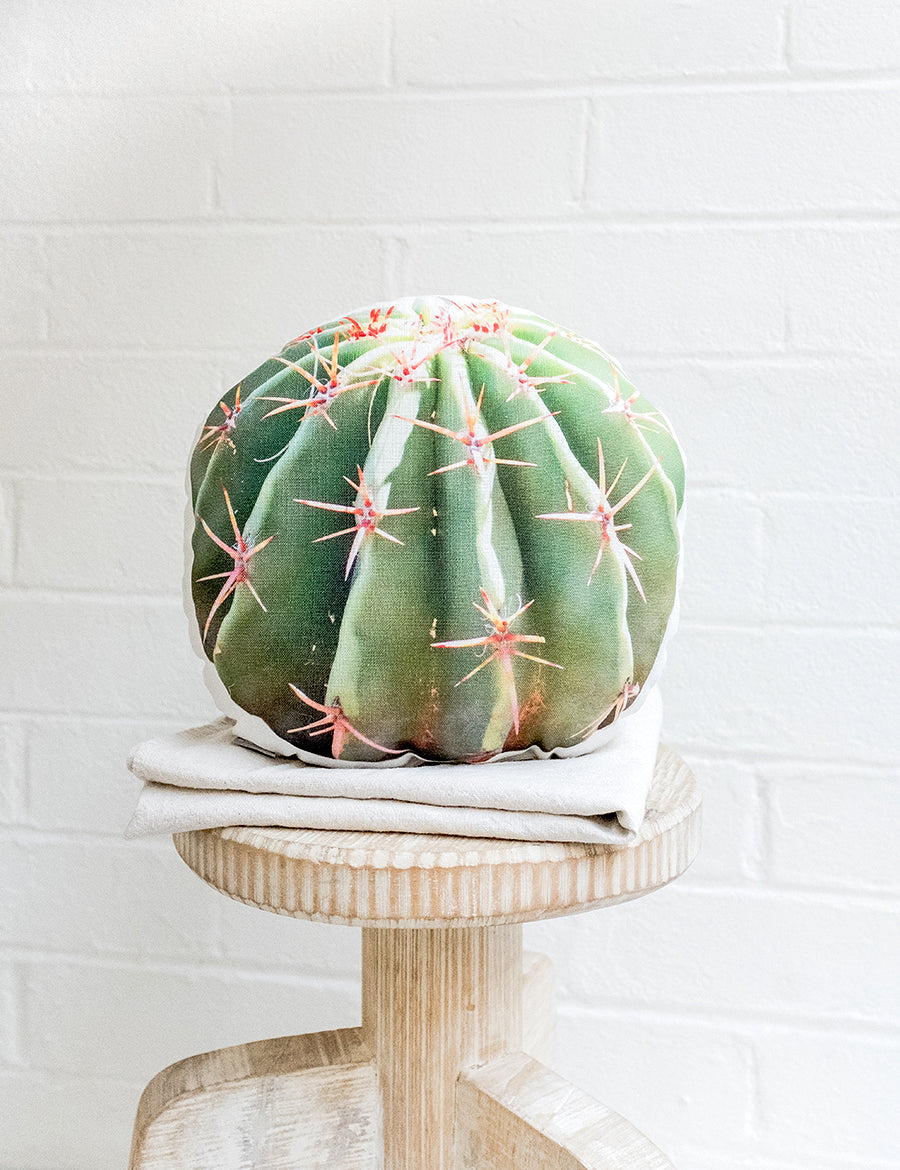 Barrel Cactus Pillow