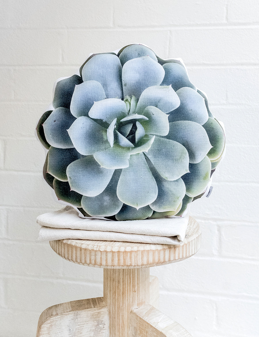succulent pillows Topsy Turvy Pillow