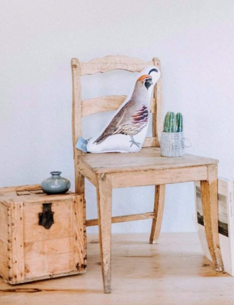 Southwestern Soft Minky Quail Pillow, College Student Gift, Mother's Day Gift,Christmas Gift