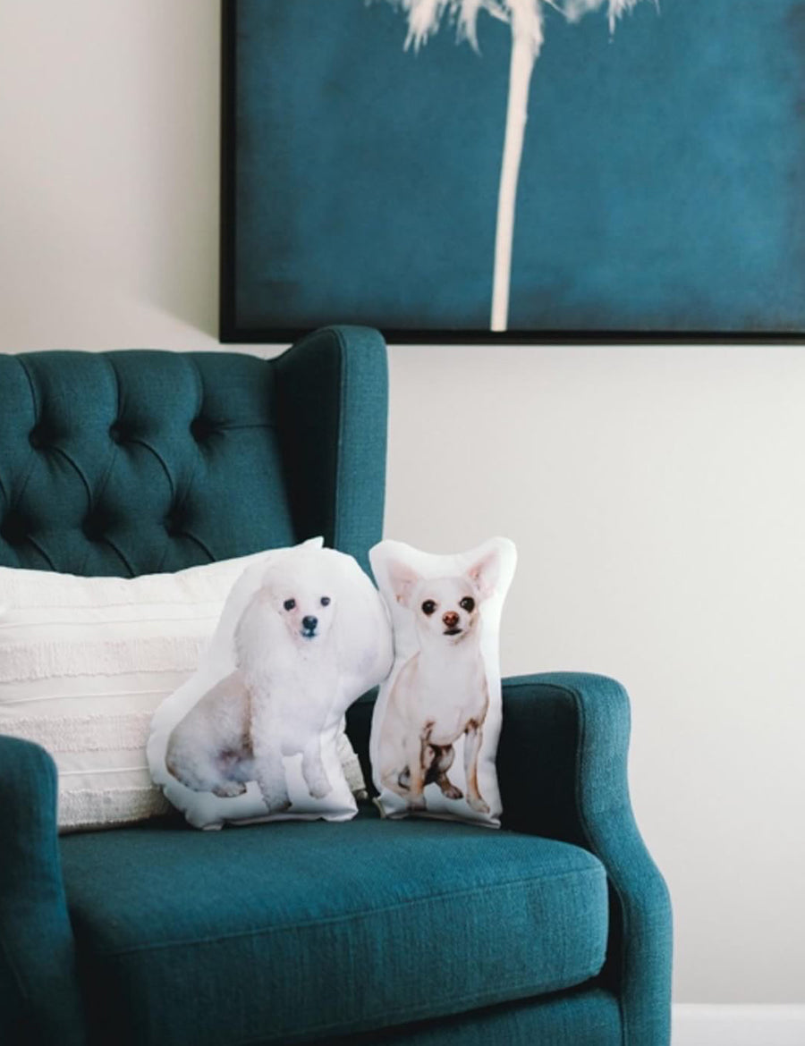 Memory Pet Pillow