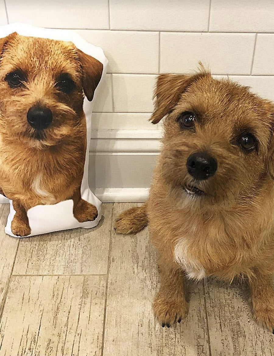 Memory Pet Pillow