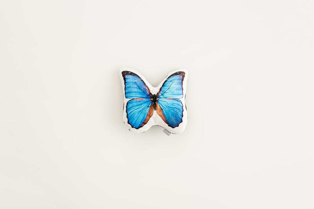 Morpho Butterfly Pillow, College Student Gift