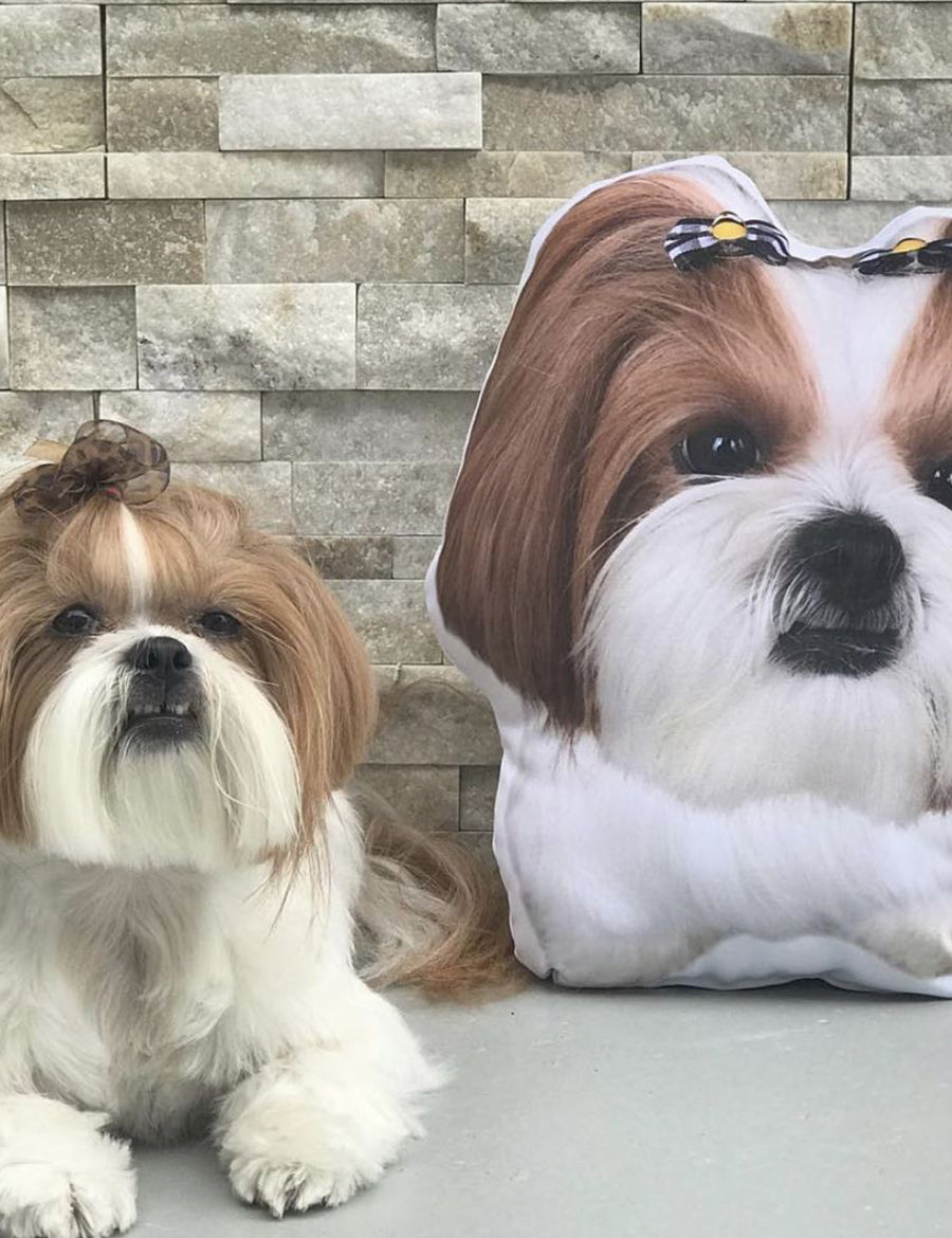 Custom Pet Pillows Made in the USA Aure Lines Spaces old